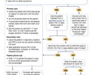 Update - Coronavirus